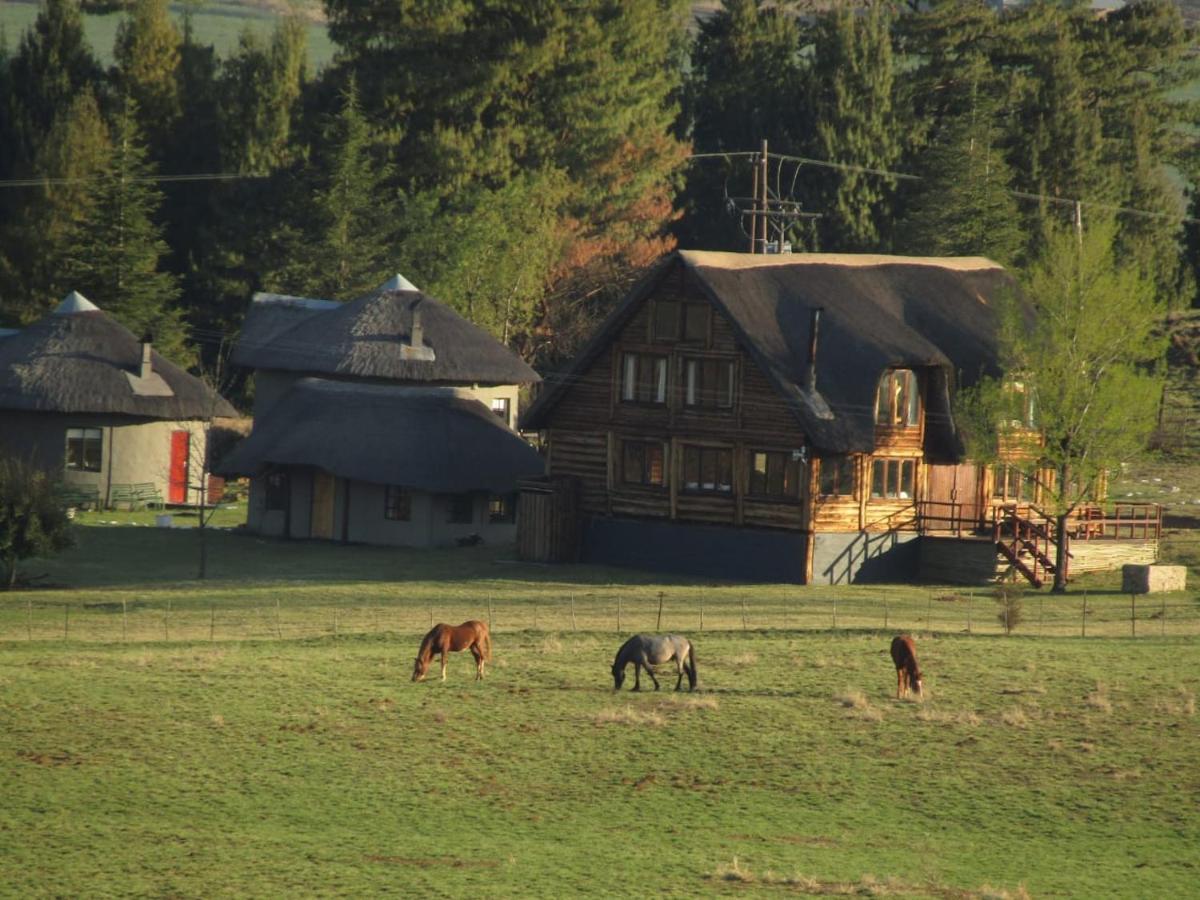 Khotso Lodge & Horse Trails Underberg Bagian luar foto