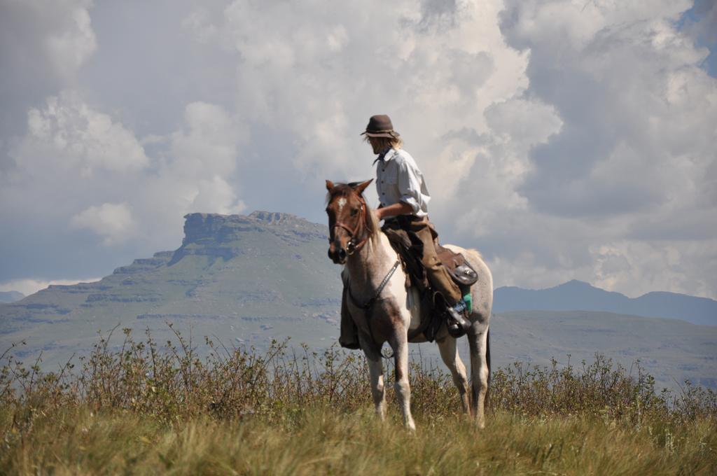 Khotso Lodge & Horse Trails Underberg Bagian luar foto