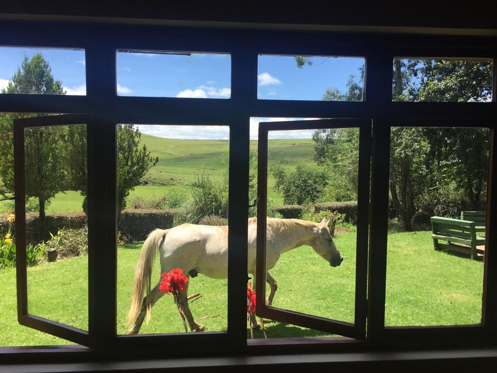 Khotso Lodge & Horse Trails Underberg Bagian luar foto