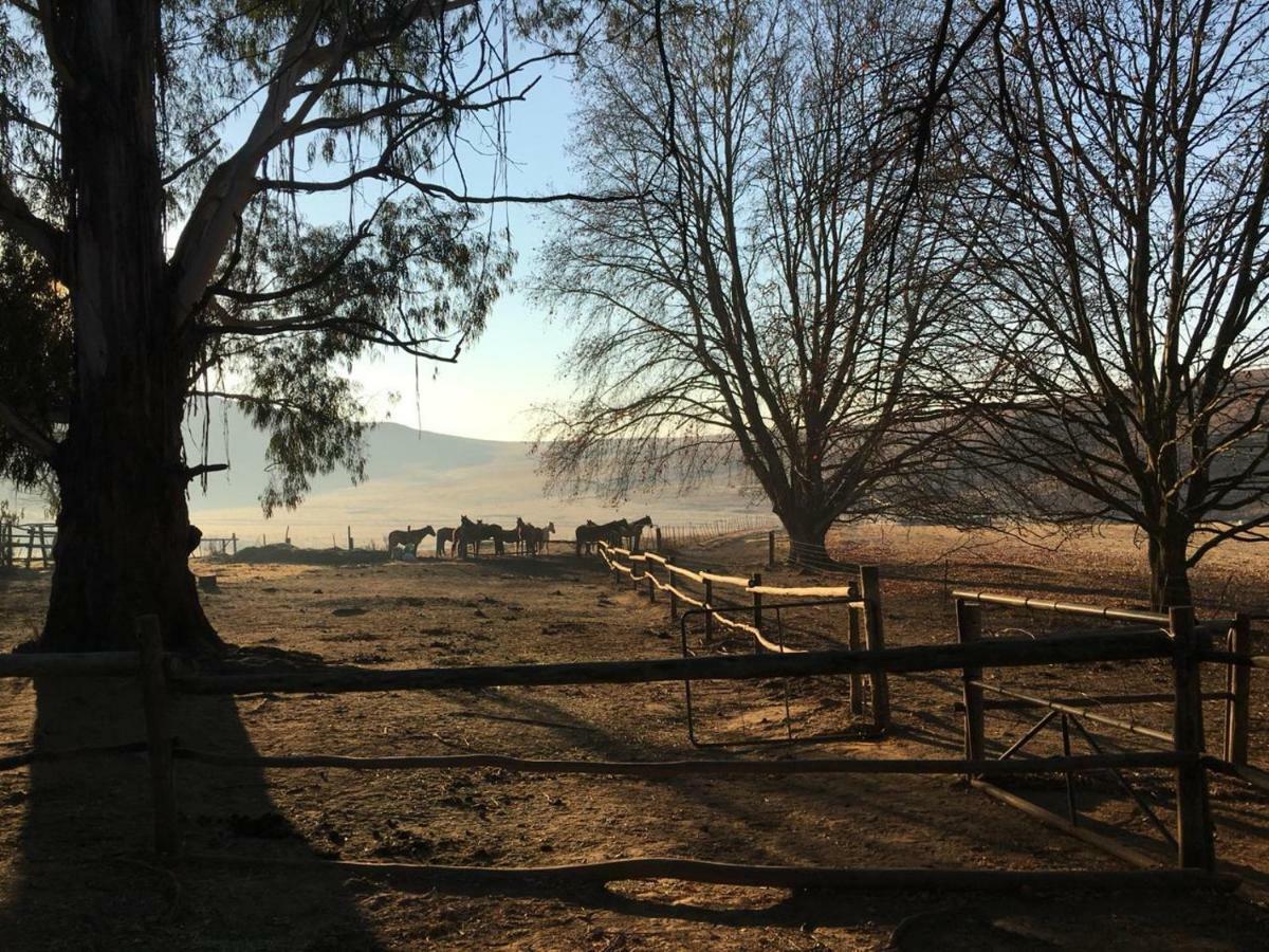 Khotso Lodge & Horse Trails Underberg Bagian luar foto