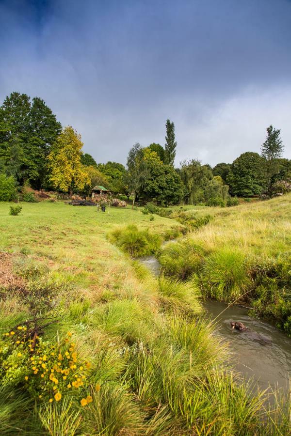 Khotso Lodge & Horse Trails Underberg Bagian luar foto